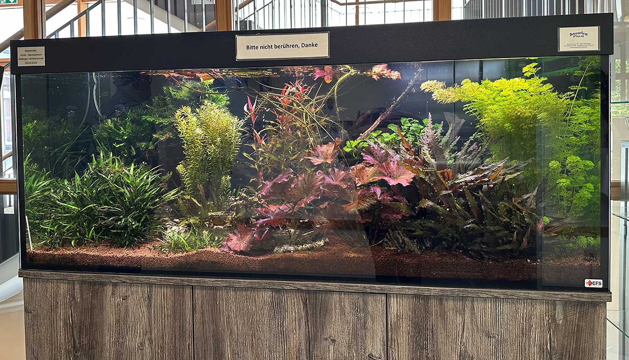 aquarium